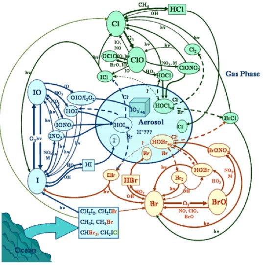Halogen cycles